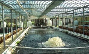 فیلتراسیون در حوضچه پرورش ماهی