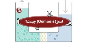 اسمز (Osmosis) چیست؟
