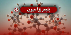 پلی‌اتیلن و پلی‌پروپیلن ریشه‌های مشترکی در نفت دارند، به فرآیندهای شیمیایی مشابهی مانند پلیمریزاسیون متکی هستند.