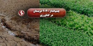 عربستان سعودی اکنون با داشتن  ۲۷ پکیج فرآوری و تصفیه‌خانه آب، میلیاردها دلار روی بازچرخانی و استفاده مجدد از منابع آبی سرمایه‌گذاری کرده است. این کشور از سال ۲۰۱۶ با اجرای چشم‌انداز 2030 مسیر تازه‌ای را در کشاورزی و مدیریت آب آغاز کرده است.